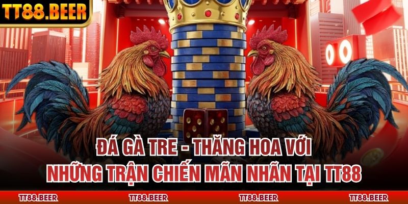 Đá Gà Tre - Thăng Hoa với Những Trận Chiến Mãn Nhãn Tại TT88