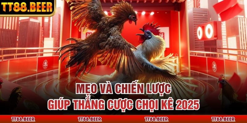 Mẹo và chiến lược giúp thắng cược chọi kê 2025